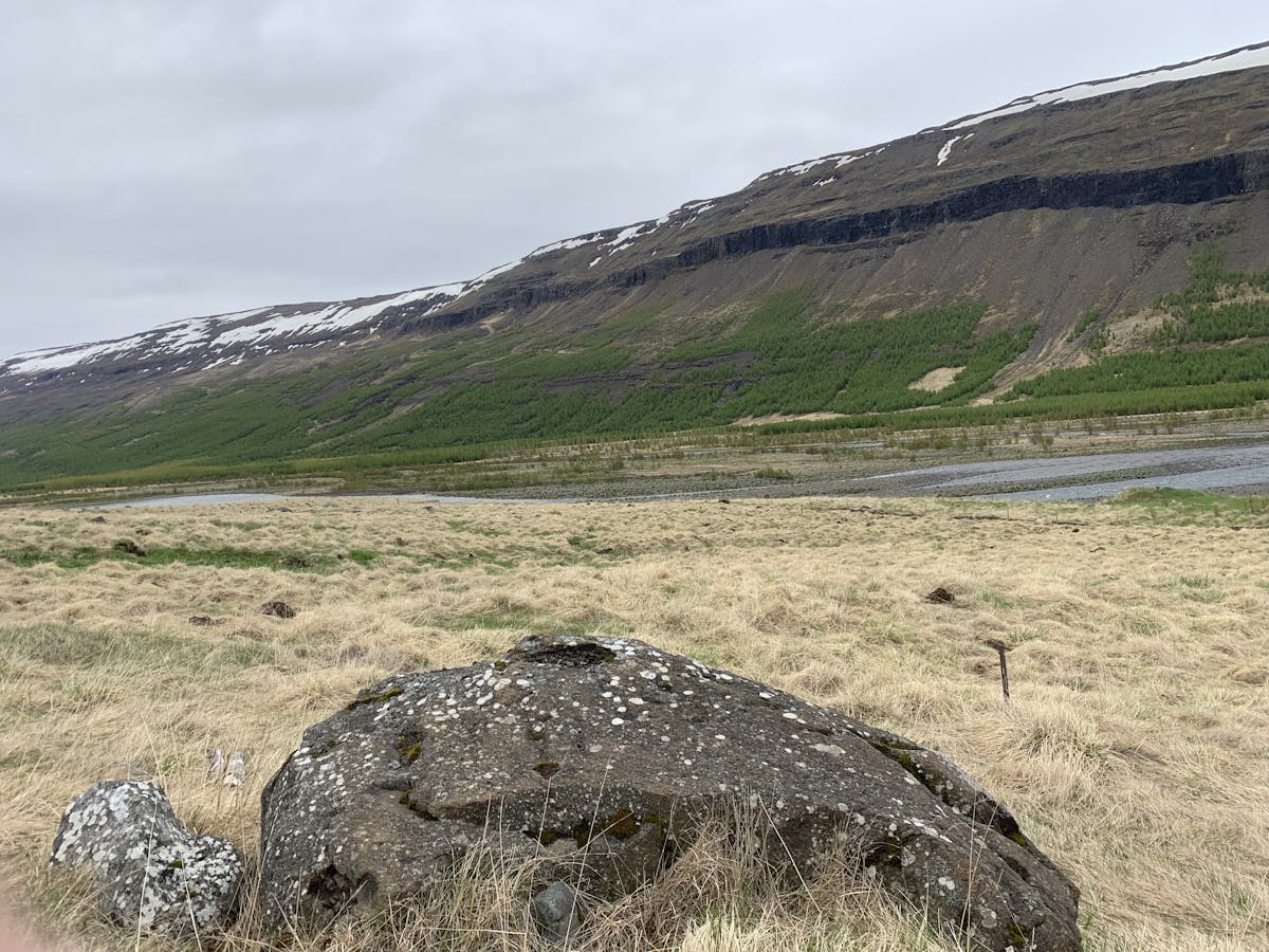 Álfasteinn - Arnaldsstaðir